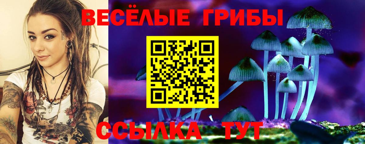 Галлюциногенные грибы GOLDEN TEACHER  Вход с VPN  Псилоцибиновые грибы мицелий  Сосновоборск 